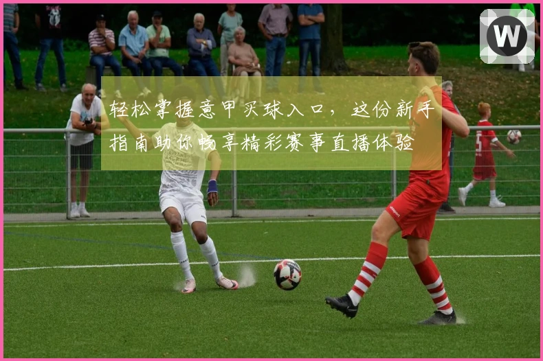 轻松掌握意甲买球入口，这份新手指南助你畅享精彩赛事直播体验
