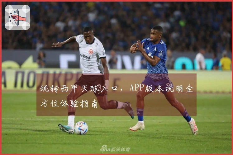 玩转西甲买球入口，APP版本说明全方位体验指南