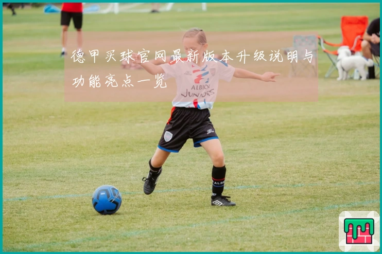 德甲买球官网最新版本升级说明与功能亮点一览