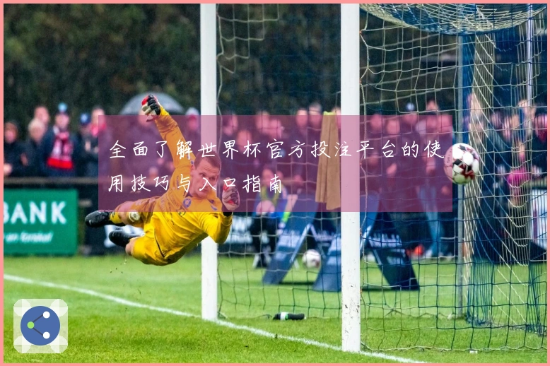 全面了解世界杯官方投注平台的使用技巧与入口指南