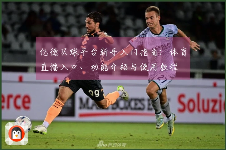 亿德买球平台新手入门指南：体育直播入口、功能介绍与使用教程