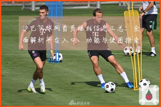 沙巴买球网首页福利信息汇总：全面解析平台入口、功能与使用指南